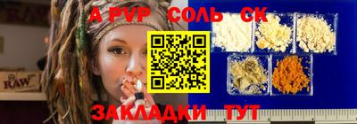 крисы Кингисепп