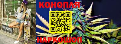 крисы Кингисепп