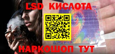 крисы Кингисепп