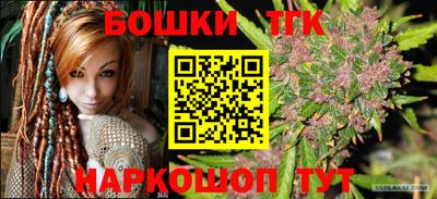 крисы Кингисепп