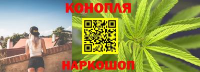 крисы Кингисепп