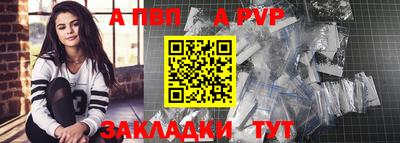 крисы Кингисепп