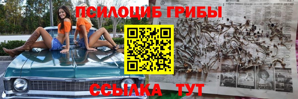 Галлюциногенные грибы MAGIC MUSHROOMS  Вход с VPN  Галлюциногенные грибы прущие грибы  как найти   Воркута 